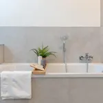 Apartment Regent Neu! Wlan-netflix-kueche- Altstadt-sbahn-dd, Elbufer Meissen
