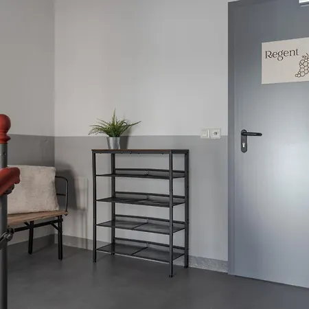 Regent Neu! Wlan-netflix-kueche- Altstadt-sbahn-dd, Elbufer Lejlighed *