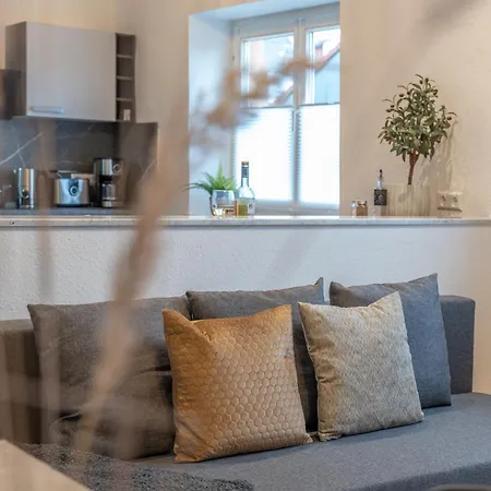 Apartment Regent Neu! Wlan-netflix-kueche- Altstadt-sbahn-dd, Elbufer Meissen