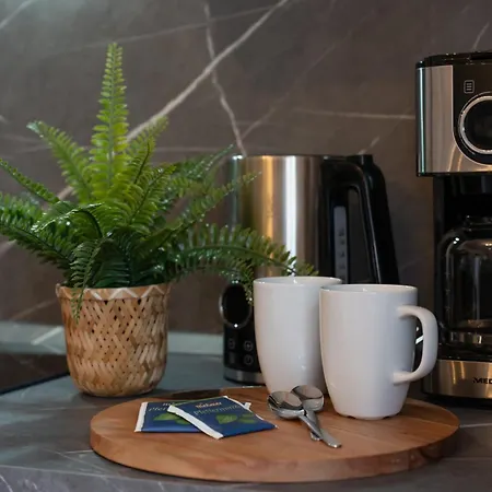 Apartment Regent Neu! Wlan-netflix-kueche- Altstadt-sbahn-dd, Elbufer *