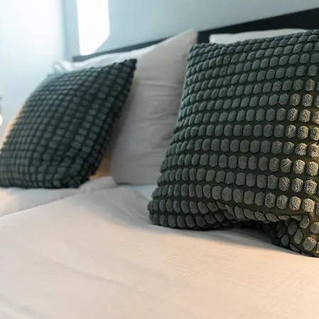 Regent Neu! Wlan-netflix-kueche- Altstadt-sbahn-dd, Elbufer *