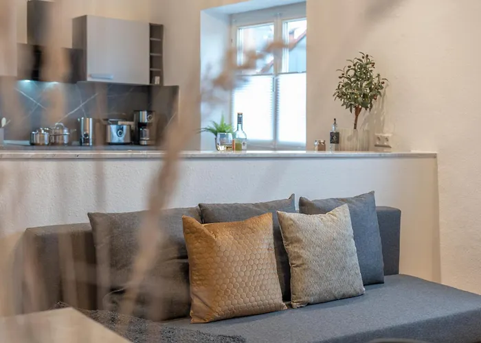Apartment Regent Neu! Wlan-netflix-kueche- Altstadt-sbahn-dd, Elbufer Meissen