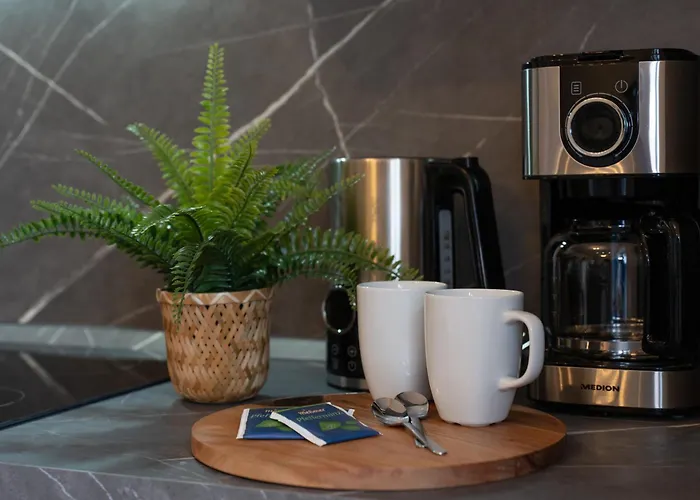 Apartment Regent Neu! Wlan-netflix-kueche- Altstadt-sbahn-dd, Elbufer *